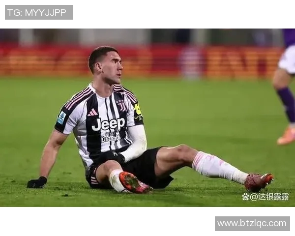 弗拉霍维奇：从天才前锋到意甲新星的成长之路与未来展望